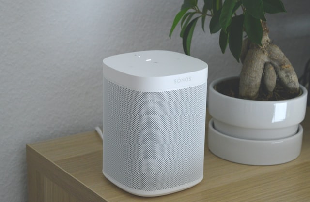 smart home voice assistant