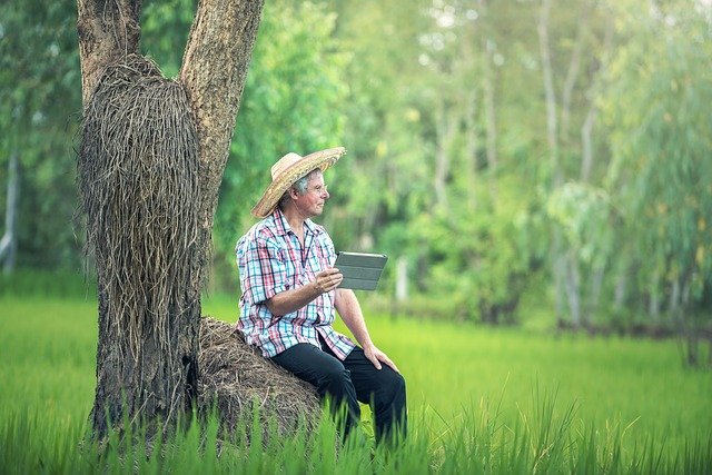 iot na agricultura vantagens